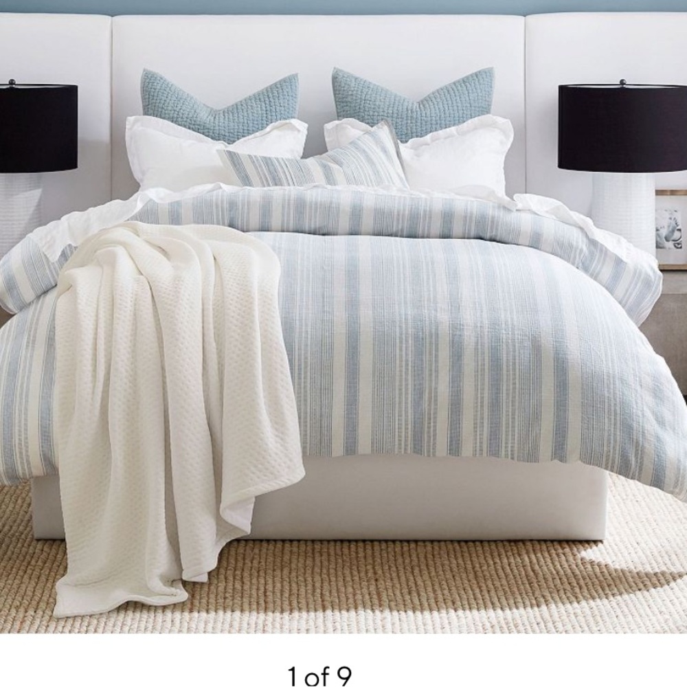 King size pottery barn duvet and two king size shams